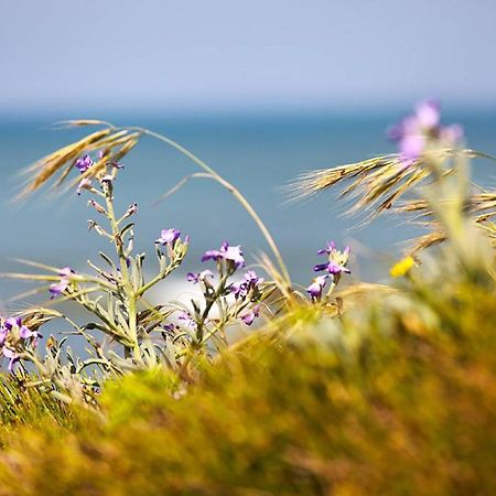 Вілла Ferme Marine Pour 4 - Piscine Chauffee Бретіньоль-сюр-Мер Екстер'єр фото